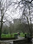 24788 Blarney Castle.jpg